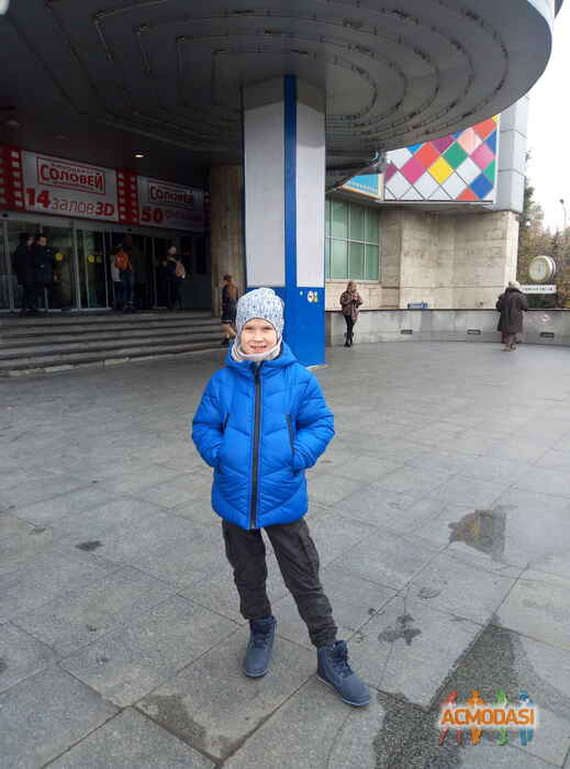 Анютины  Глазки фото №1526785. Загружено 16 Октября 2019