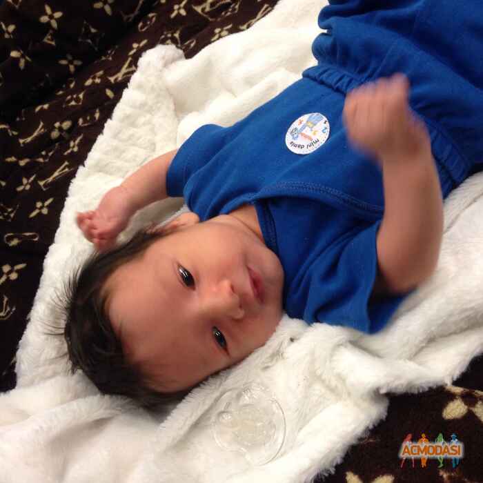 Давид Георгиевич Тиникашвили фото №612759. Загружено 12 Марта 2014