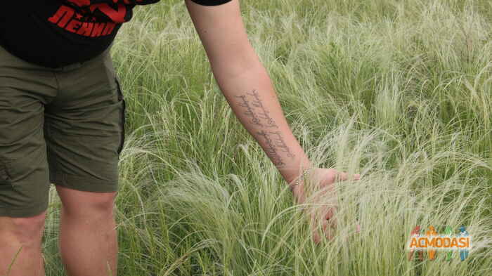 Денис Юрьевич Киров фото №1488852. Загружено 21 Июля 2019