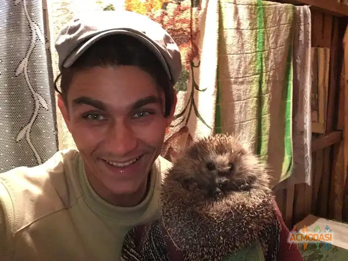 Сергей   фото №1941271. Загружено 11 Ноября 2025