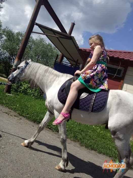 диана Андреевна Краснопеева фото №1614389. Загружено 30 Июня 2020