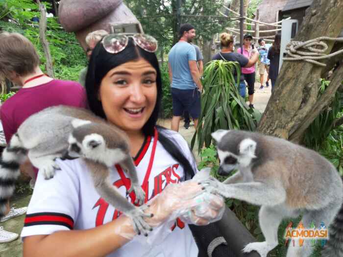 Эльвира Эдуардовна Алиева фото №1517737. Загружено 28 Сентября 2019