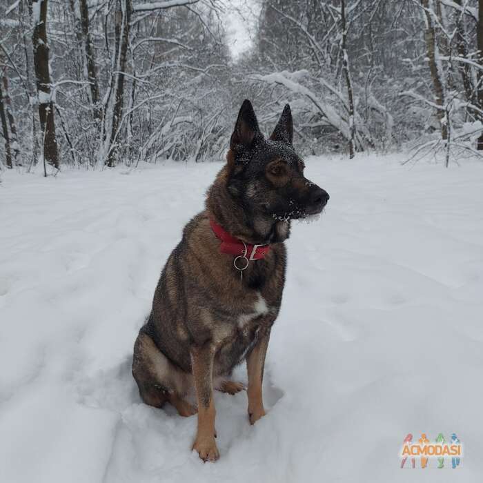 Ксения   фото №1771607. Загружено 17 Января 2022