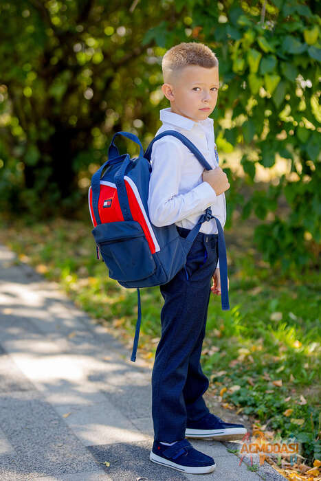 Лев   фото №1859301. Загружено 29 Июня 2023