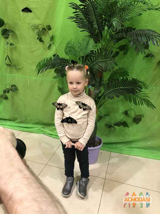 Екатерина Витальевна Двужилова фото №1533294. Загружено 29 Октября 2019