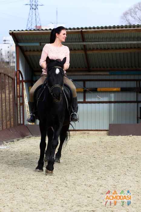 Мария  Ельцова фото №1025264. Загружено 15 Апреля 2016