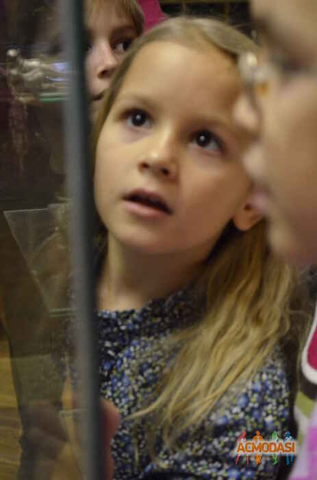 Мария   фото №297632. Загружено 26 Ноября 2012