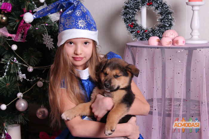 Вика  Ульянова фото №1427096. Загружено 20 Февраля 2019