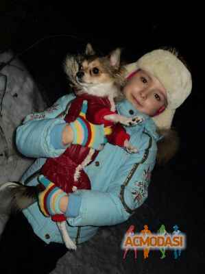 Эвелина Ивановна Антонова фото №339198. Загружено 03 Февраля 2013