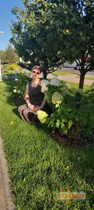 Kira  Yoshikage фото №1943429. Загружено 10 Декабря 2025