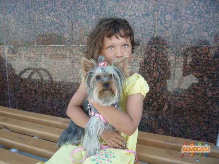 Полина  Титова фото №129618. Загружено 12 Января 2012