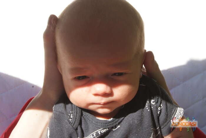 Юлиан  Иванов фото №1804954. Загружено 02 Июля 2022