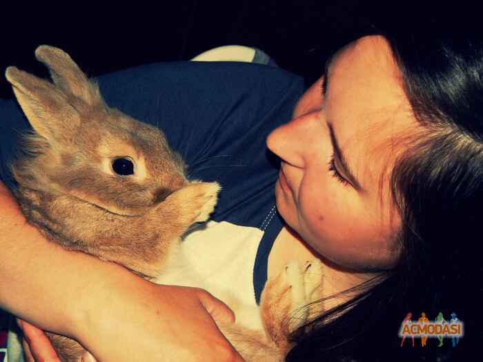 Анна  Дупленская фото №677066. Загружено 24 Июня 2014