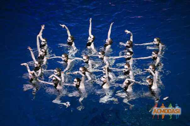 Ксения  Симакова фото №806553. Загружено 21 Января 2015