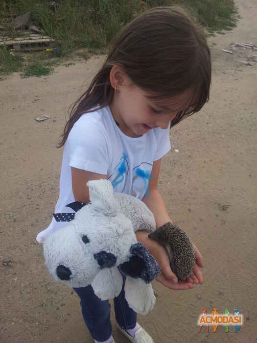 Виктория Андреевна Потапова фото №739003. Загружено 24 Сентября 2014