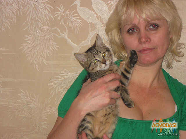 Светлана Анатольевна Кузнецова фото №810893. Загружено 29 Января 2015