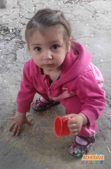 Людмила Анатольевна Богрова фото №1464479. Загружено 24 Мая 2019