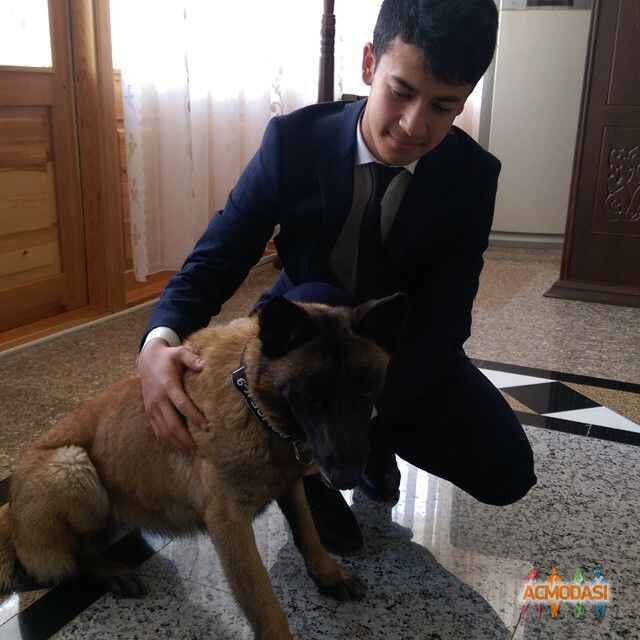 Алик  Очилов фото №1110212. Загружено 14 Ноября 2016