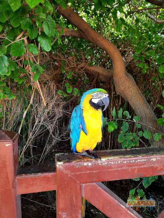 No  Name фото №1677449. Загружено 25 Января 2021