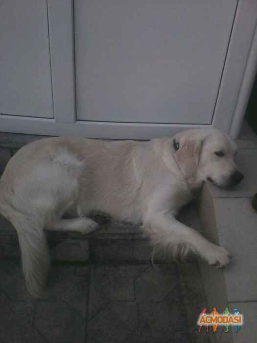 Марина Анатольевна Олий фото №1105337. Загружено 03 Ноября 2016