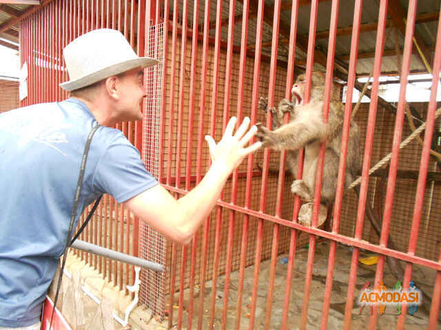 Влад  Павлевич фото №722693. Загружено 02 Сентября 2014