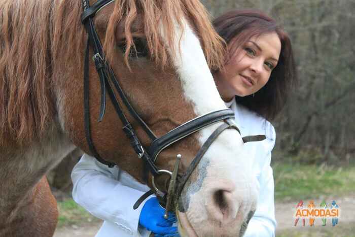 Елена Сергеевна Ананьева фото №901877. Загружено 08 Августа 2015