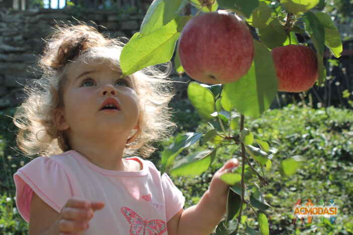 Оксана   фото №609988. Загружено 06 Марта 2014