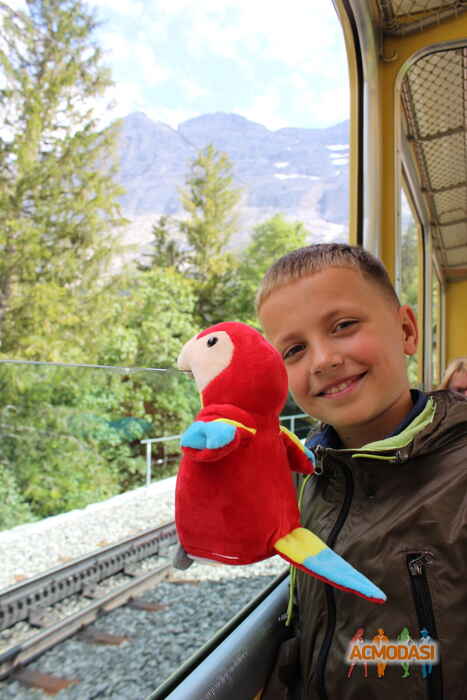 Арсений Олегович Лисицын фото №1454636. Загружено 06 Мая 2019