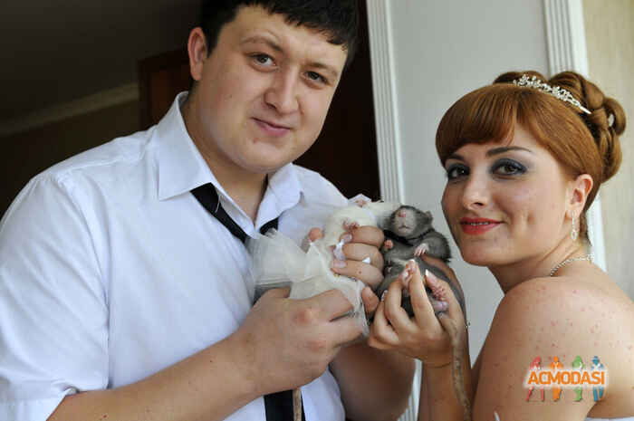 Виктор  Иванов фото №1489280. Загружено 22 Июля 2019