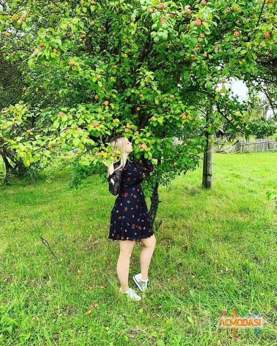 Алена Михайловна Косарева фото №1508636. Загружено 08 Сентября 2019