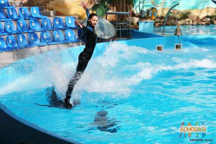 Цапук  Людмила фото №540679. Загружено 25 Ноября 2013