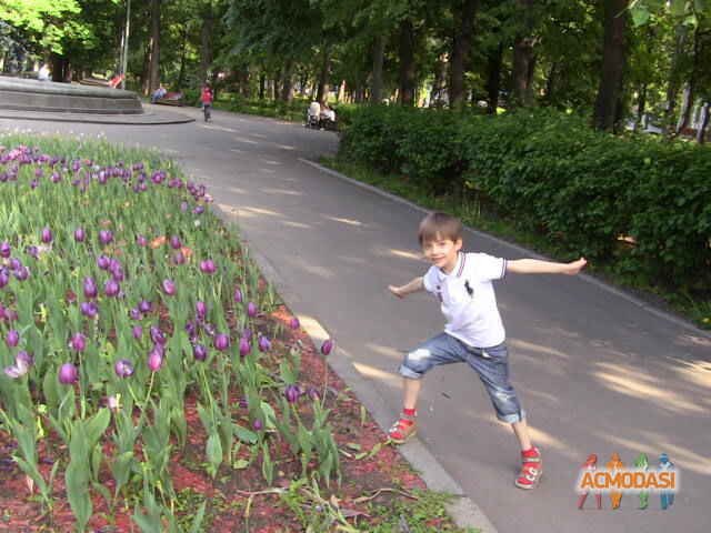 Никита Антонович Сурыкин фото №1051414. Загружено 26 Июня 2016
