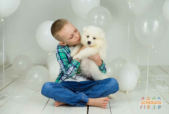 Даниил  Крепких фото №1677348. Загружено 25 Января 2021