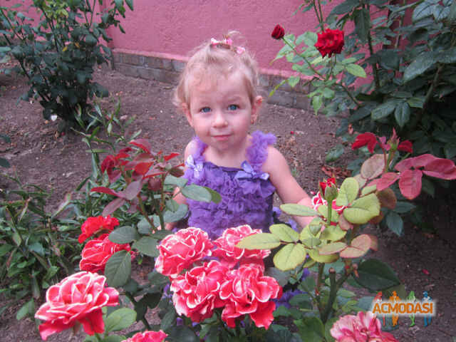 Милана Дмитревна Бодрухина фото №572917. Загружено 16 Января 2014