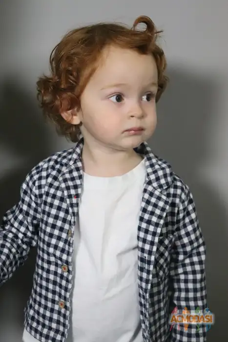 Алан   фото №1942132. Загружено 22 Ноября 2025