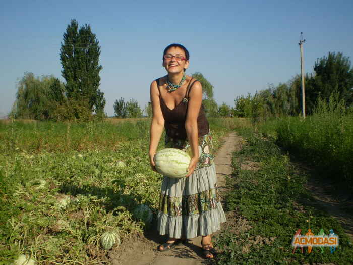 Татьяна  Алексеевна фото №317205. Загружено 29 Декабря 2012