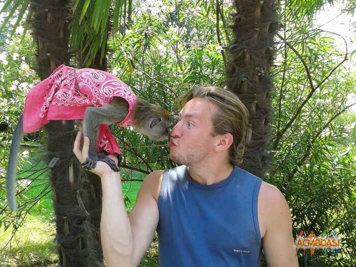 Sergey  Kulish фото №856545. Загружено 02 Мая 2015