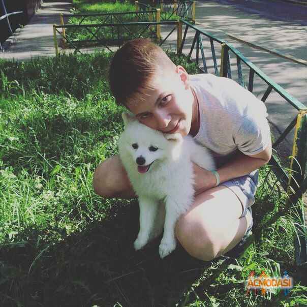 Денис николаевич курочкин фото №1200691. Загружено 10 Июля 2017