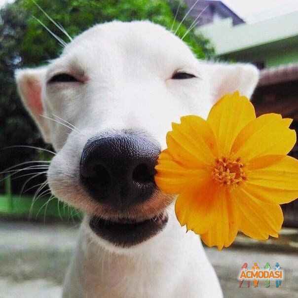 Кристина Геннадьевна Спицына фото №1403711. Загружено 13 Декабря 2018