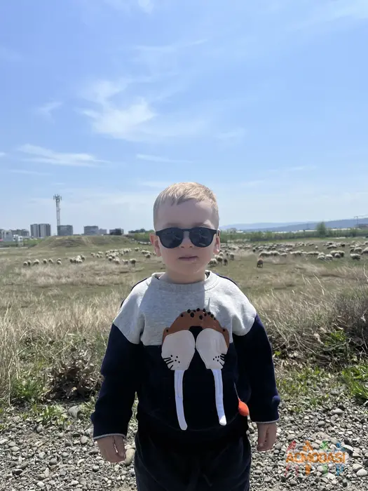 ЛЕОН  Этерия фото №1933907. Загружено 11 Августа 2025