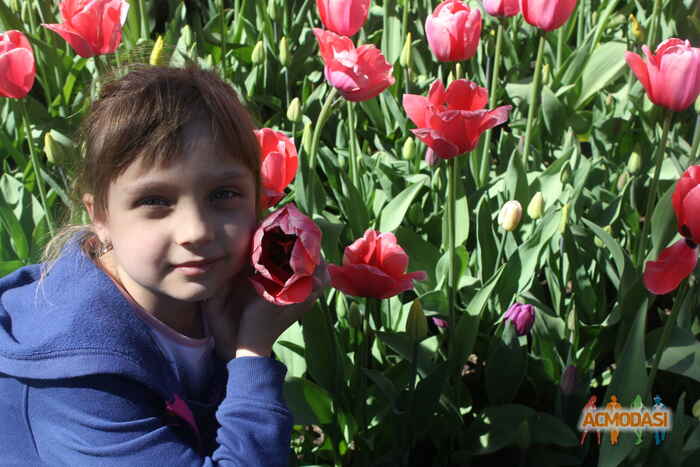 София  Стринада фото №1527042. Загружено 17 Октября 2019