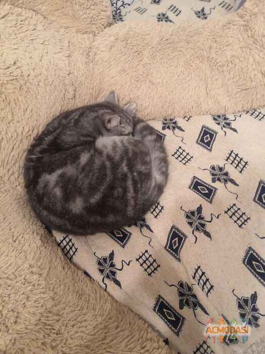 Ирина  Симонова фото №1675668. Загружено 19 Января 2021