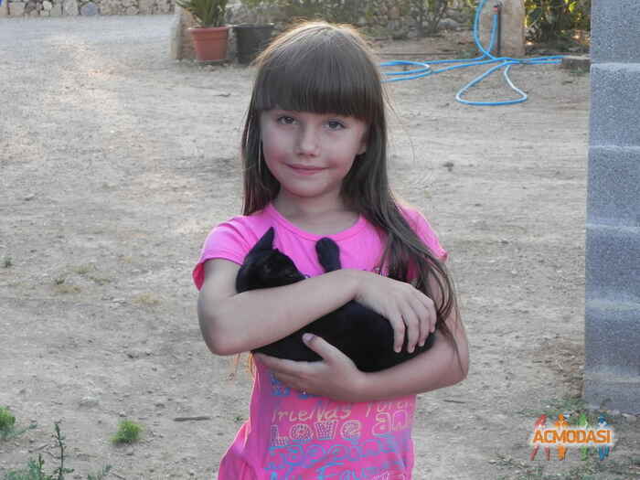 Дарья Отчество Володина фото №1126282. Загружено 21 Декабря 2016