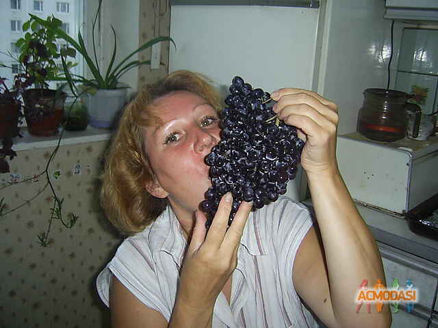 Нина Львовна Бровкина фото №297017. Загружено 25 Ноября 2012