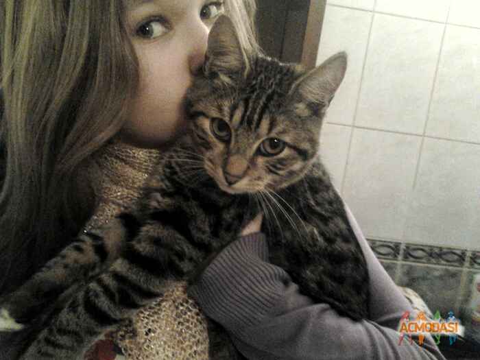 Катя  Рогожникова фото №299715. Загружено 29 Ноября 2012