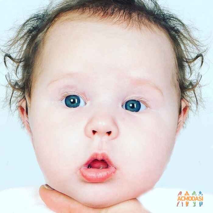 Аронова Виктория Владимировна фото №1255501. Загружено 24 Ноября 2017