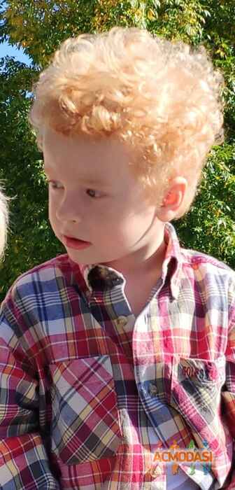 Дмитрий  Данилов фото №1511834. Загружено 15 Сентября 2019