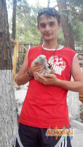 Станислав Дмитриевич Капустин фото №940097. Загружено 17 Октября 2015