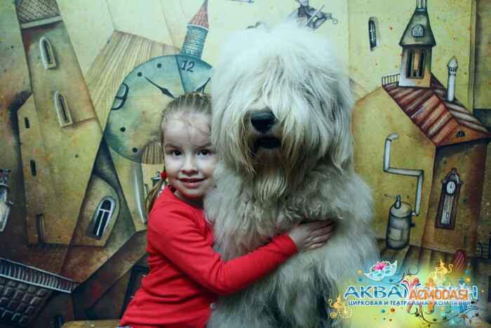 София  Потапова фото №862312. Загружено 18 Мая 2015