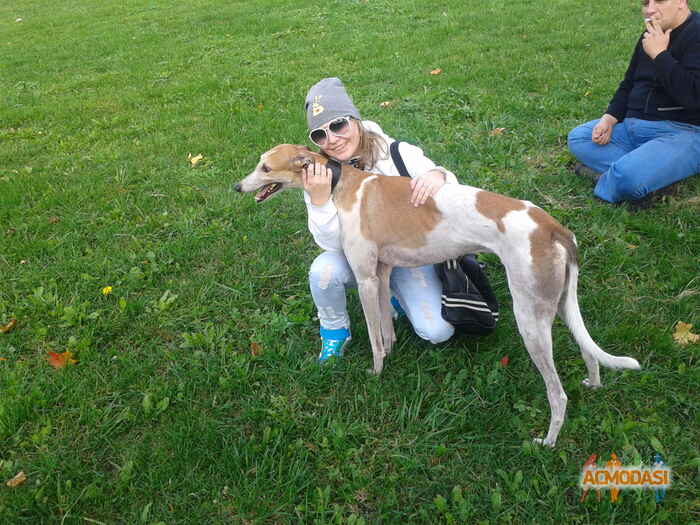 Марина Викторовна Палехина фото №267397. Загружено 08 Октября 2012